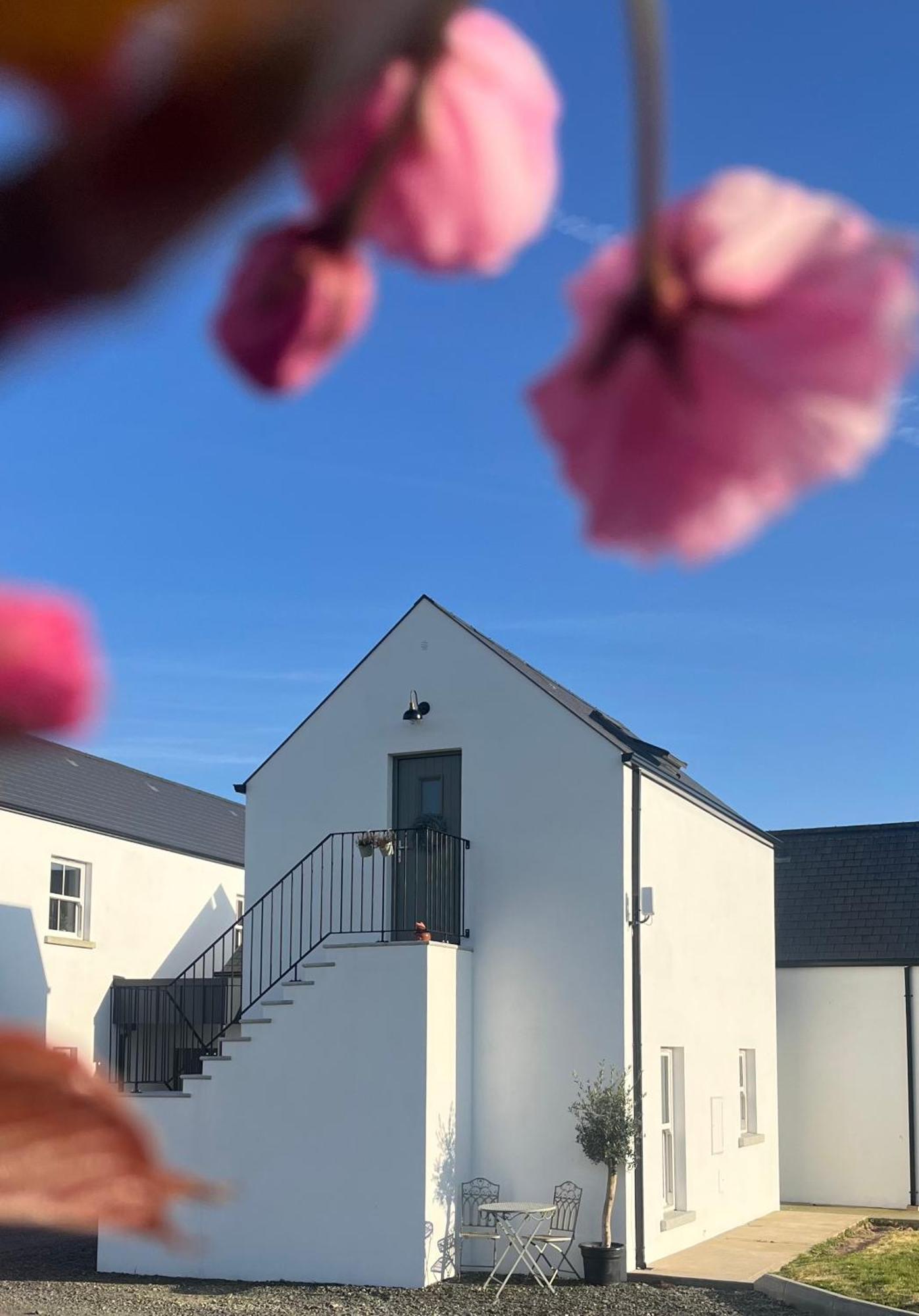 Ferienwohnung The Loft Curracloe, On Wexfords Coastal Scenic Route Exterior foto